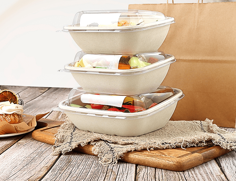 How to Choose the Best Disposable Food Containers? Easy Green
